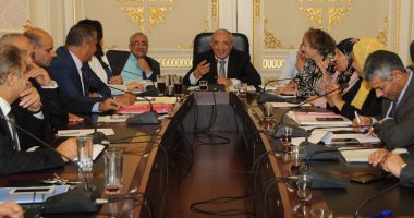 المالية: مشروع قانون الجمارك الجديد يقضى على تهريب العملة وغسيل الأموال