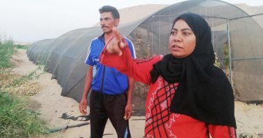 قصة نجاح زوجين بالوادى الجديد..عبد الشكور وزوجته نفذا مشروع صوب لإنتاج الخضروات