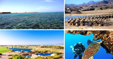 صور.. شواطئ سفاجا سحر يجذب راغبى الهدوء.. تشهد مسابقات عالمية لرياضة ركوب الأمواج.. رمالها تعالج أمراض المفاصل والجلدية والروماتيزم.. خليج سوما باى جنة على أرض مصر.. وجزيرة توبيا البيضاء أجمل جزر البحر الأحمر