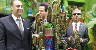 جهود سكان الأسمرات لتجميل المبانى تجذب نواب الإسكان.. فيديو