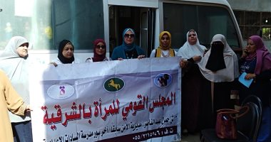 صور.. حملات توعية لـ"القومى للمرأة" بالأقصر والشرقية لتوعية السيدات بخطورة الشائعات