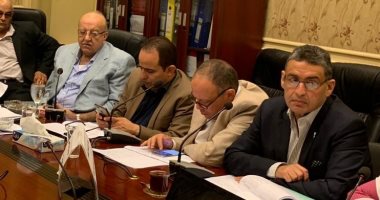 نائب مصر القديمة: الدولة قطعت شوطًا وحققت طفرة فى ملف تطوير العشوائيات