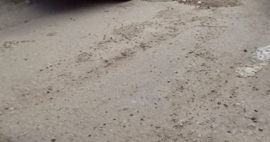 قارئ يطالب بإعادة رصف شارع التحرير بعين شمس
