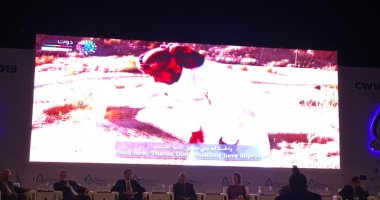 اللجنة الدولية للرى والزراعة: أكثر من ثلث سكان إفريقيا يعانون نقص المياه فى 2030