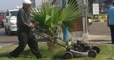 صور.. رفع كفاءة الحدائق العامة وإزالة إشغالات الطريق وسط الإسكندرية