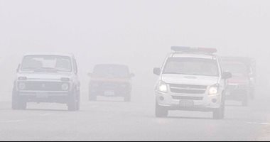صور.. المرور تضع محاذير القيادة أثناء الشبورة والأمطار لمنع الحوادث