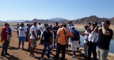 البيئة تحتفل باليوم العالمى للطيور المهاجرة.. صور 