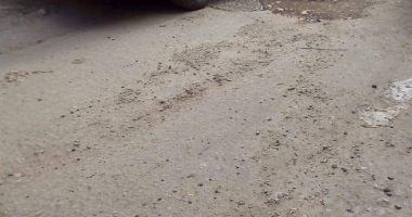 مطالب بإعادة رصف شارع منشية التحرير بعين شمس