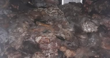 ضبط 18 طن مقطعات دواجن ولحوم مفرومة غير صالحة للاستهلاك بالجيزة