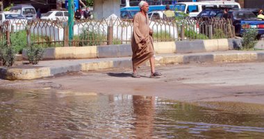تعليم الاسكندرية تكلف مديرى الإدارات بتنفيذ قرار تعطيل الدراسة غدا