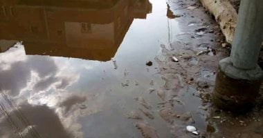 قارئ يشكو من وجود اعمدة انارة بها ماس كهربائى بقرية الزعفرانى بالبحيرة