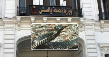 "الصحة" تحاصر سموم الحيات والثعابين فى 16 محافظة.. رفع حالة الطوارئ وتوفير الأمصال بالمستشفيات ومراكز السموم.. وسحب عينات من محطات مياه الشرب للتأكد من سلامتها.. وأحزمة وقائية لمنع دخول الزواحف للكتل السكنية