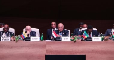 وزير الخارجية يطالب بوقف دعم الإرهاب فى ليبيا من دول بعينها