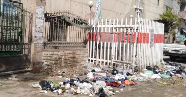 قارئ يشكو من انتشار القمامة فى قرية أبو حماد الشرقية