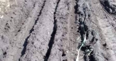 أهالى عزبة المرج يناشدون المسئولين ضرورة رصف الطريق المؤدى إليهم