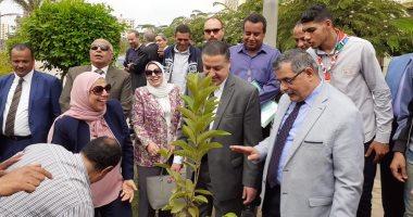 صور.. تدشين مبادرة "هنجملها" بكلية التربية جامعة بنها لزراعة 2500 شجرة
