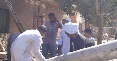 سقوط شجرة على عمود إنارة بقرية النمسا بالأقصر ..و"الكهرباء" تنقذ الموقف..صور