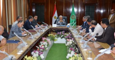 محافظ الدقهلية: دراسة تطوير سوق السمك بالسنبلاوين وستوته بالمنصورة