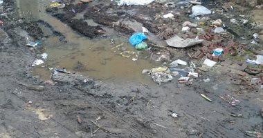 قارئ يشكو من انتشار المياه الجوفية بقرية كفر بنى على سمسطا ببنى سويف