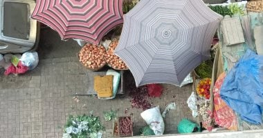 "باعة جائلون على رصيف شارع محجوب ثابت" شكوى سكان حى العجوزة