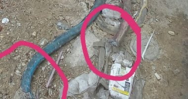 قارئ يرصد كابل كهرباء مكشوف فوق سطح الأرض فى المنشية بالإسكندرية