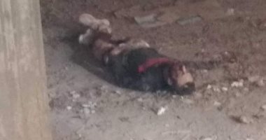 العثور على جثة شاب داخل إحدى العمارات تحت الإنشاء بالإسماعيلية .. فيديو وصور