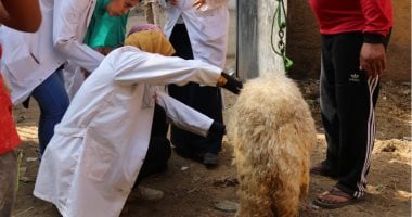 جامعة بنها تنظم قافلة بيطرية لقرية الحصة