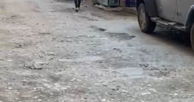 شارع الطفولة مكسر.. شكوى سكان حى سيدى بشر بالإسكندرية