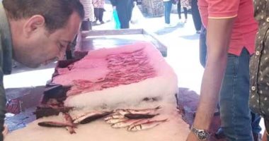 صور.. انخفاض أسعار الأسماك بالإسكندرية.. البلطى والبورى من 25 لـ40 جنيها