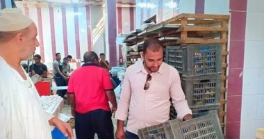 صحة القليوبية توصي بغلق 10 مصانع لتصنيع حلوى المولد النبوي 