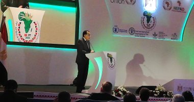 رئيس الوزراء: دعم التبادل التجارى بين الدول الأفريقية يتطلب وضع دستور متكامل