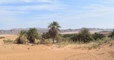سحر الطبيعة ومتعة المشاهدة.. رحلات جبلية لسلسلة جبال البحر الأحمر