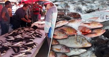 انخفاض أسعار الأسماك تزامنا مع انخفاض اللحوم والدواجن.. البلطى يتراوح بين 20 و35 جنيها والبورى من 35 لـ60.. الدينيس يتراجع من 160 إلى 100 والكاليمارى من 170 إلى 140.. وهبوط الجمبرى الجامبو من 400 لـ300
