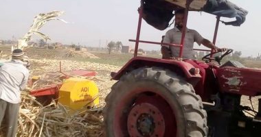 صور.. توفير ماكينات إعادة تدوير "البوص" بقرى مركز سوهاج حفاظا على البيئة
