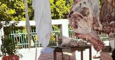 تحرير محاضر لجزارين للذبح خارج المجازر وعدم إعلان السعر بأسوان