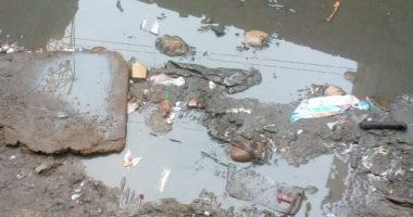 قارئ يشكو من تسرب مياه الصرف الصحى من أحد البلاعات بالمرج الجديدة