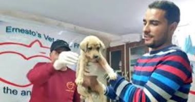 كلاب فى كهف البغدادي.. تعرف على "بوب" الكلب الثانى فى عملية تصفية زعيم داعش