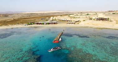 جنة على أرض مصر.. "مرسى شجرة" أغنى مناطق البحر الأحمر فى بالتنوع البيولوجى