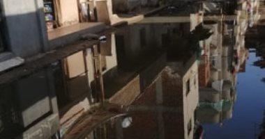 قارئ يشكو انتشار مياه الصرف الصحى بقرية المحمودية فى الشرقية