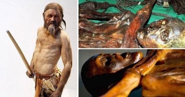 صور.. مومياء "رجل الثلج" لغز حير الباحثين.. دراسات تكشف سبب موته: قتل بسهم منذ 5300 سنة.. والأبحاث تصفه بالمثقف وتؤكد استخدامه الوخز بالإبر.. ومؤخرا الطحالب توضح سر رحلة "أوتزى" الأخيرة عبر جبال الألب