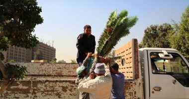صور.. استعدادات مكثفة بالمتحف الزراعى لافتتاح معرض زهور الخريف