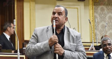 البرلمان يوافق مبدئيا على قانون حماية البيانات الشخصية.. صور