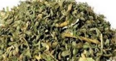 النيابة تستعجل تقرير المعمل الكيميائى بواقعة ضبط عاطل يصنع الأستروكس بالسلام