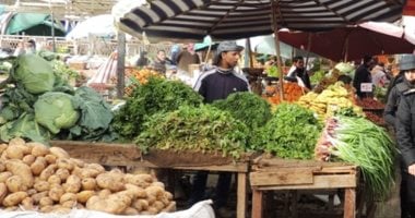 صور.. تراجع بأسعار الفاكهة والخضراوات بمطروح وإقبال المواطنين على الشراء