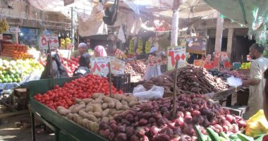 تعرف على أسعار الخضروات والفاكهة اليوم بأسواق البحر الأحمر.. صور
