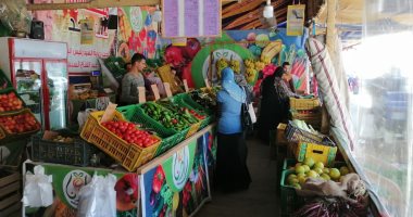 صور.. تعرف على أسعار الخضراوات والفاكهة بأسواق محافظة الغربية