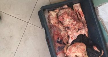 ضبط لحوم مصنعة وأسماك غير صالحة للاستهلاك الآدمى بدمياط 