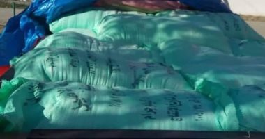 جامعة المنيا تعرض خطتها أمام اللجنة العليا لمحو الأمية وتعليم الكبار