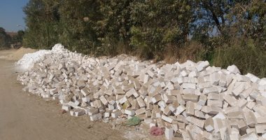 مواد البناء تؤثر على المحاصيل الزراعية.. شكوى سكان قرية الشناوية ببنى سويف