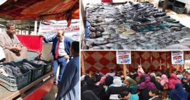 استقرار أسعار الأسماك اليوم بسوق العبور والبطى الأسوانى يبدأ من 15جنيها